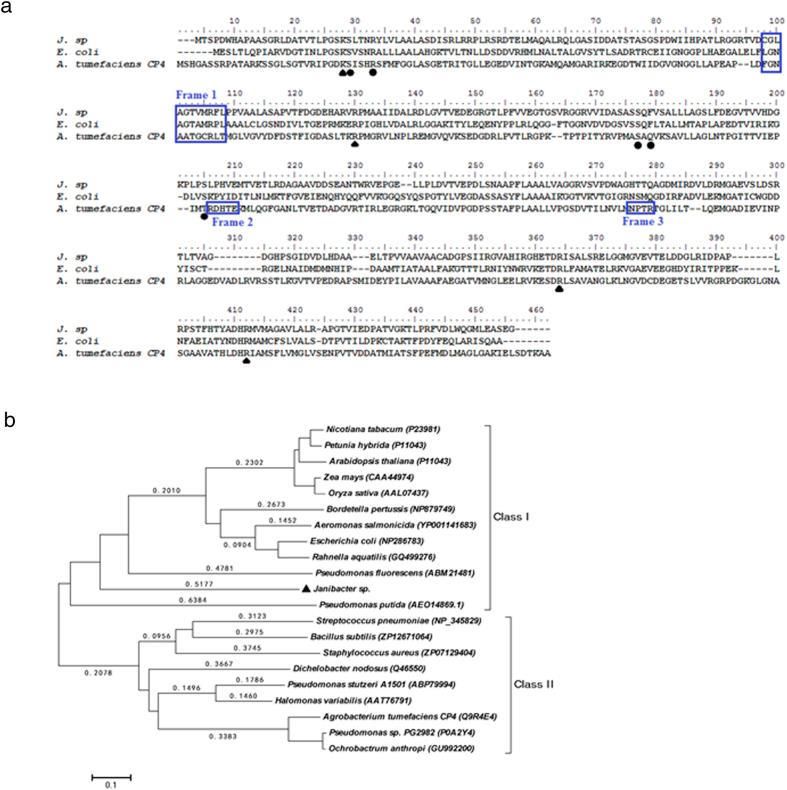 https://cdn.ncbi.nlm.nih.gov/pmc/blobs/7846/4709569/f4467c9a305f/srep19104-f1.jpg