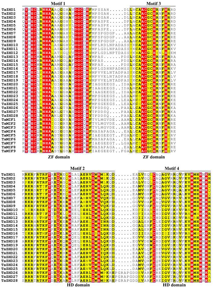 https://cdn.ncbi.nlm.nih.gov/pmc/blobs/7846/8004245/0dea7c981a6d/plants-10-00593-g003.jpg