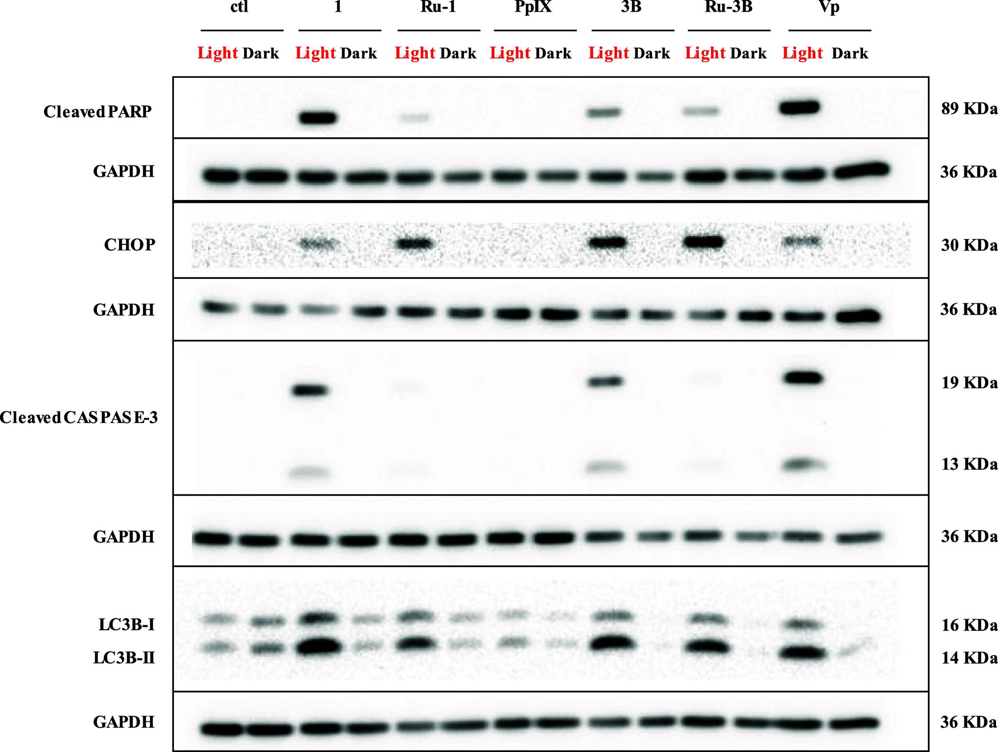 https://cdn.ncbi.nlm.nih.gov/pmc/blobs/7848/12093383/13036c04fbb2/ic5c00896_0011.jpg