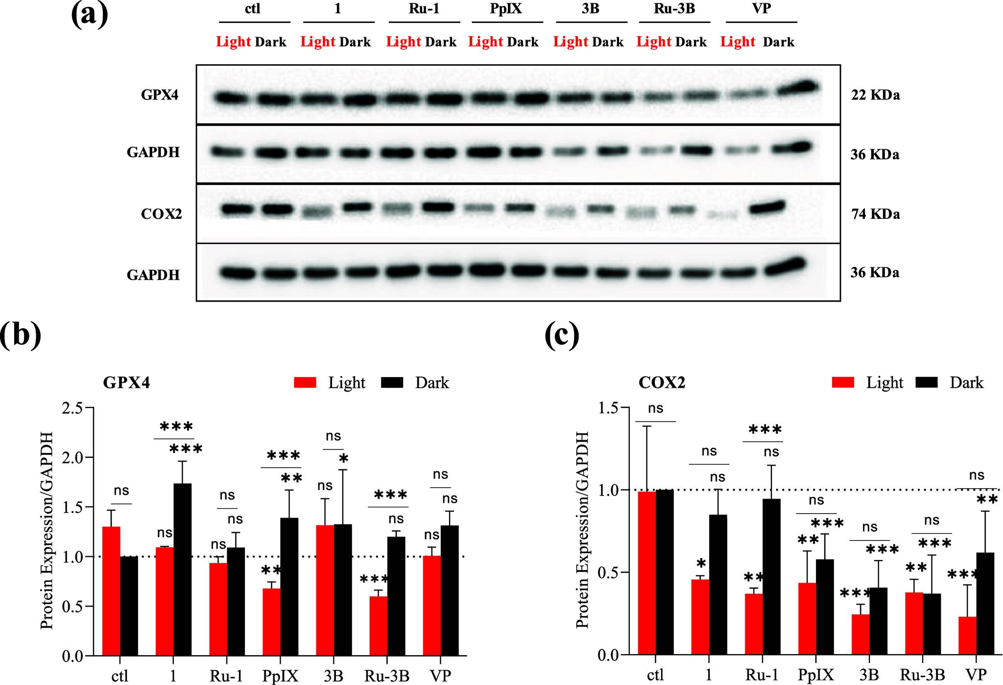 https://cdn.ncbi.nlm.nih.gov/pmc/blobs/7848/12093383/ada0021cb40a/ic5c00896_0012.jpg
