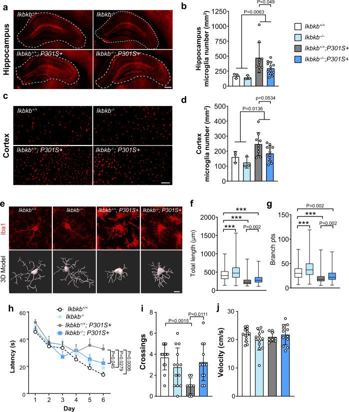 https://cdn.ncbi.nlm.nih.gov/pmc/blobs/7848/9005658/3caca8f6c25c/41467_2022_29552_Fig5_HTML.jpg