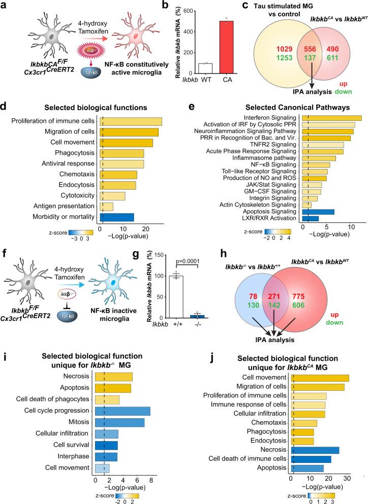 https://cdn.ncbi.nlm.nih.gov/pmc/blobs/7848/9005658/8bf029a5cc97/41467_2022_29552_Fig2_HTML.jpg