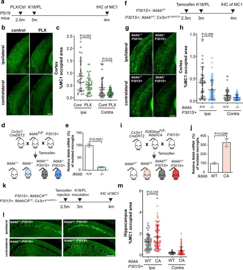https://cdn.ncbi.nlm.nih.gov/pmc/blobs/7848/9005658/a3fc5b538590/41467_2022_29552_Fig4_HTML.jpg