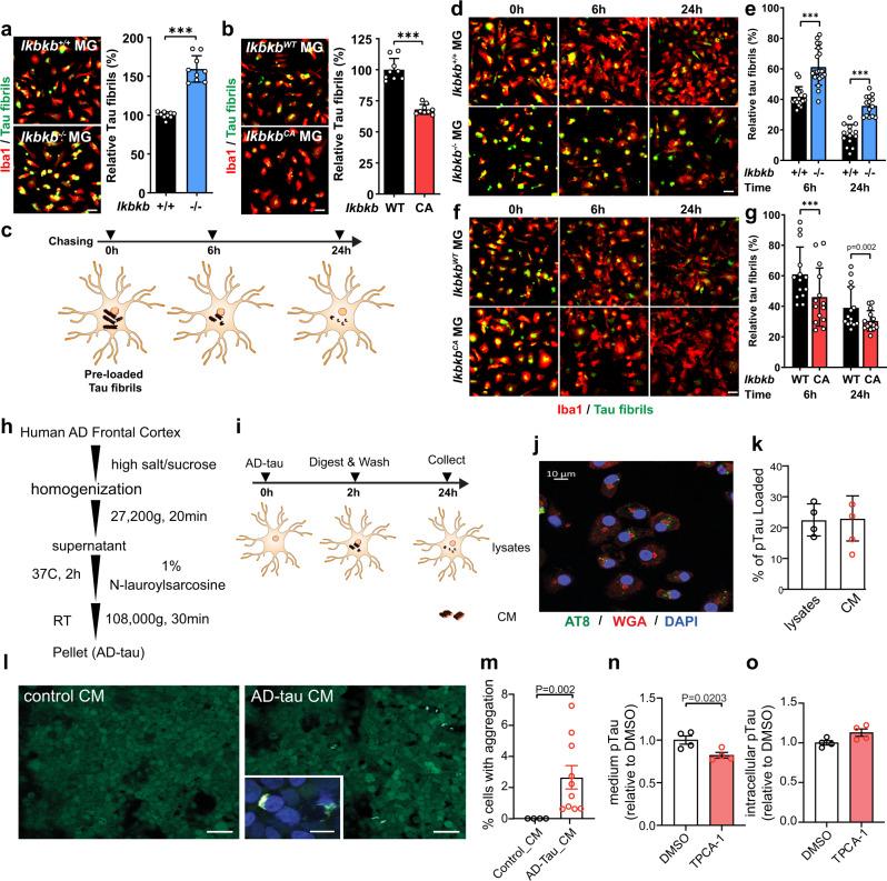 https://cdn.ncbi.nlm.nih.gov/pmc/blobs/7848/9005658/b668c585f5b8/41467_2022_29552_Fig3_HTML.jpg