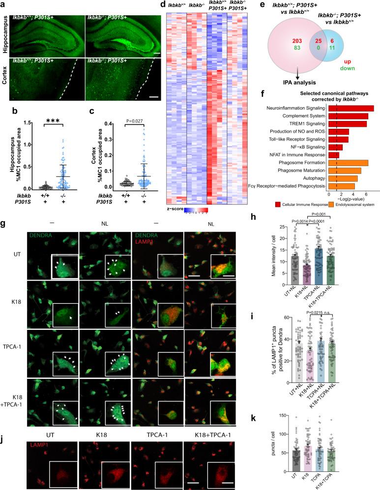 https://cdn.ncbi.nlm.nih.gov/pmc/blobs/7848/9005658/e09ecbcc14d1/41467_2022_29552_Fig6_HTML.jpg