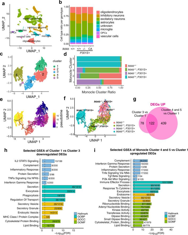 https://cdn.ncbi.nlm.nih.gov/pmc/blobs/7848/9005658/fe1242adf1ca/41467_2022_29552_Fig7_HTML.jpg