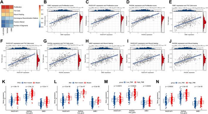 https://cdn.ncbi.nlm.nih.gov/pmc/blobs/784a/9086193/204990a1116f/fgene-13-875128-g010.jpg