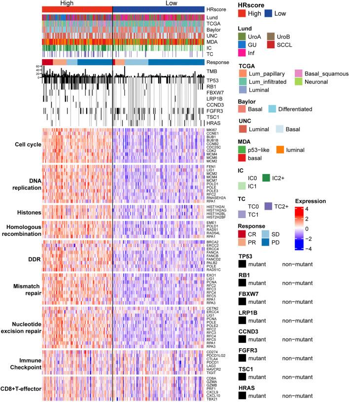 https://cdn.ncbi.nlm.nih.gov/pmc/blobs/784a/9086193/63c2019f9c5e/fgene-13-875128-g005.jpg