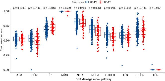 https://cdn.ncbi.nlm.nih.gov/pmc/blobs/784a/9086193/720198d33dec/fgene-13-875128-g002.jpg