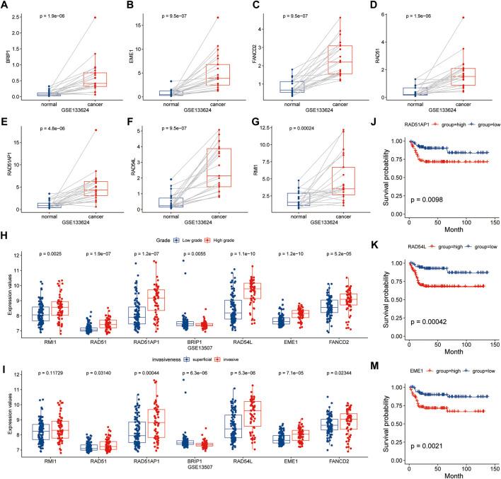https://cdn.ncbi.nlm.nih.gov/pmc/blobs/784a/9086193/9385191a4eb8/fgene-13-875128-g009.jpg