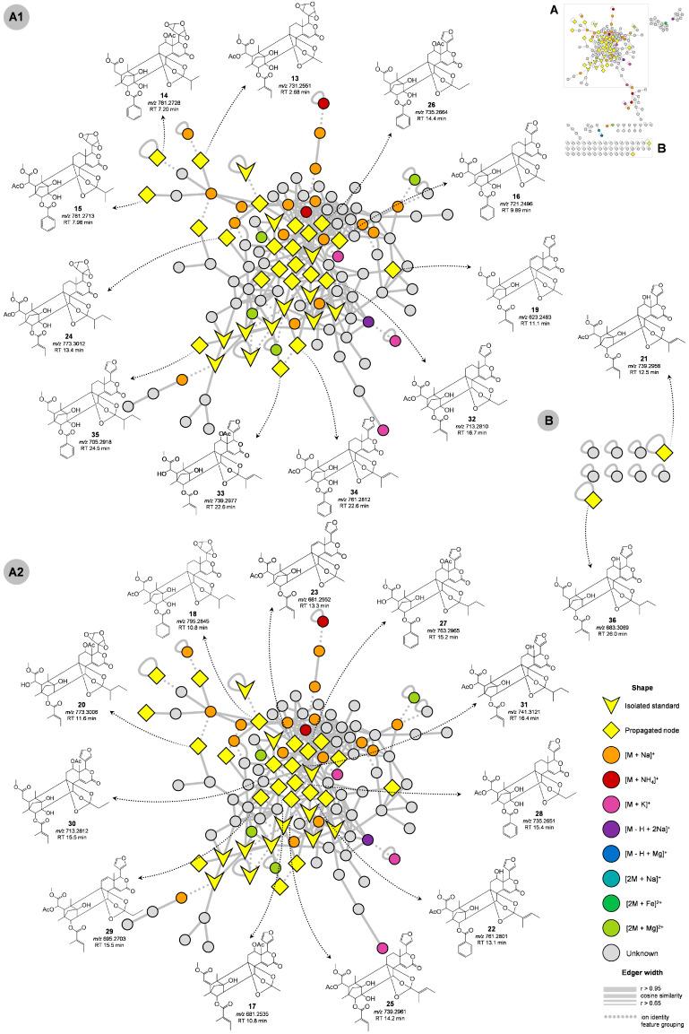 https://cdn.ncbi.nlm.nih.gov/pmc/blobs/784e/10673509/082ca03b26e0/molecules-28-07603-g005.jpg