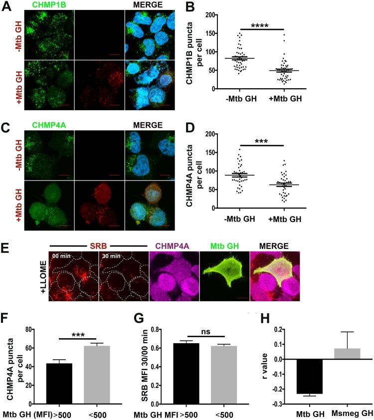 https://cdn.ncbi.nlm.nih.gov/pmc/blobs/784e/6282207/5248f599c1fa/mbo0061841900004.jpg