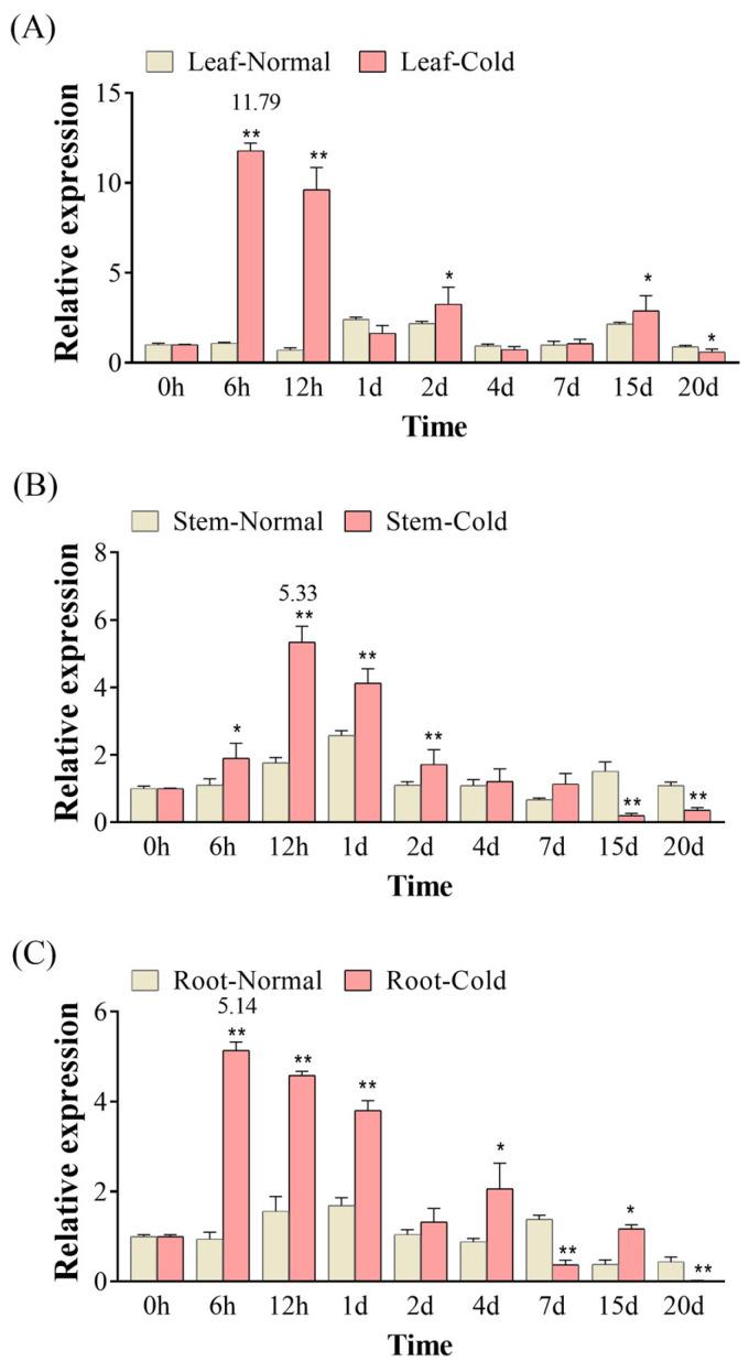 https://cdn.ncbi.nlm.nih.gov/pmc/blobs/7850/10376877/8b510188ff8d/bioengineering-10-00878-g003.jpg