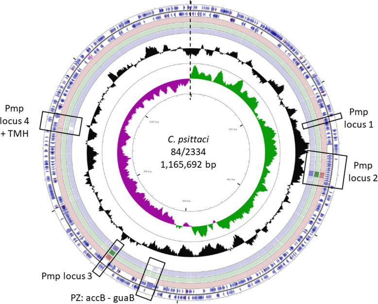 https://cdn.ncbi.nlm.nih.gov/pmc/blobs/7851/7937271/3ba4345e06c6/12864_2021_7477_Fig2_HTML.jpg