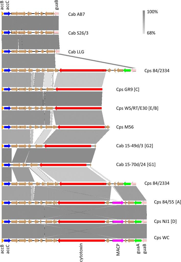 https://cdn.ncbi.nlm.nih.gov/pmc/blobs/7851/7937271/48b81ce0e65c/12864_2021_7477_Fig6_HTML.jpg
