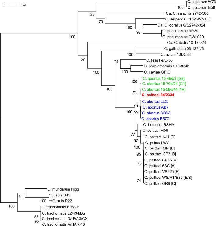 https://cdn.ncbi.nlm.nih.gov/pmc/blobs/7851/7937271/afcce9cb6422/12864_2021_7477_Fig1_HTML.jpg