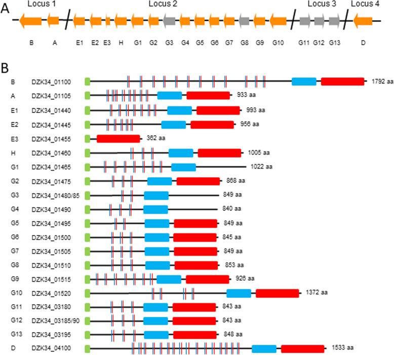 https://cdn.ncbi.nlm.nih.gov/pmc/blobs/7851/7937271/b01872fecf17/12864_2021_7477_Fig8_HTML.jpg