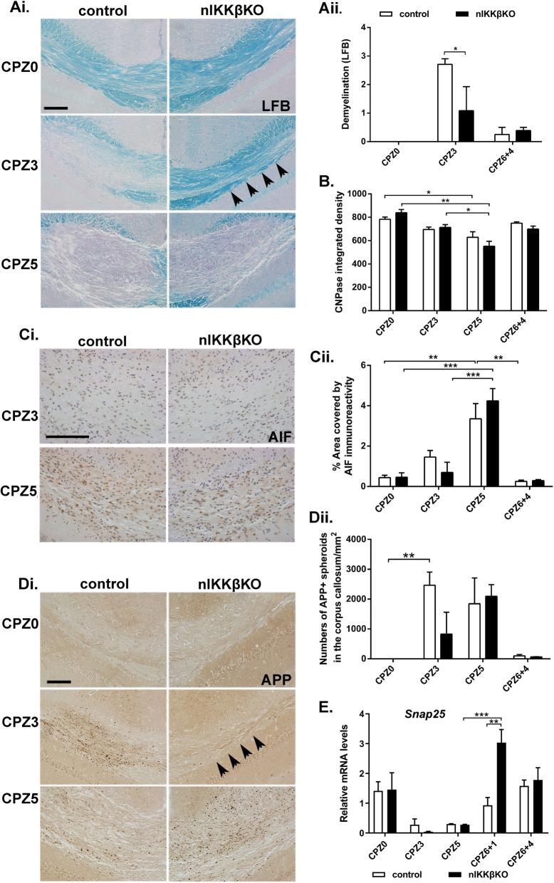https://cdn.ncbi.nlm.nih.gov/pmc/blobs/7852/8466720/0bd075941670/12974_2021_2200_Fig4_HTML.jpg