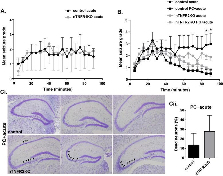https://cdn.ncbi.nlm.nih.gov/pmc/blobs/7852/8466720/3017ccb19712/12974_2021_2200_Fig6_HTML.jpg