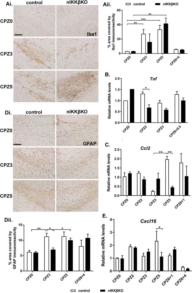 https://cdn.ncbi.nlm.nih.gov/pmc/blobs/7852/8466720/ab3f677d979f/12974_2021_2200_Fig5_HTML.jpg