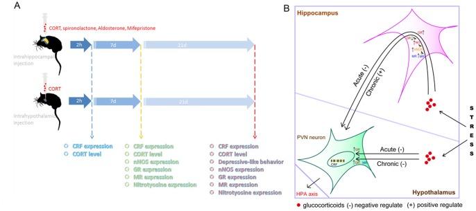 https://cdn.ncbi.nlm.nih.gov/pmc/blobs/7855/4022669/514c103d15c6/pone.0097689.g008.jpg