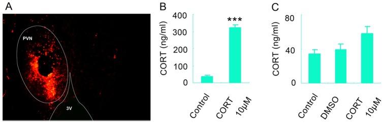 https://cdn.ncbi.nlm.nih.gov/pmc/blobs/7855/4022669/63c2dd8a9d45/pone.0097689.g003.jpg