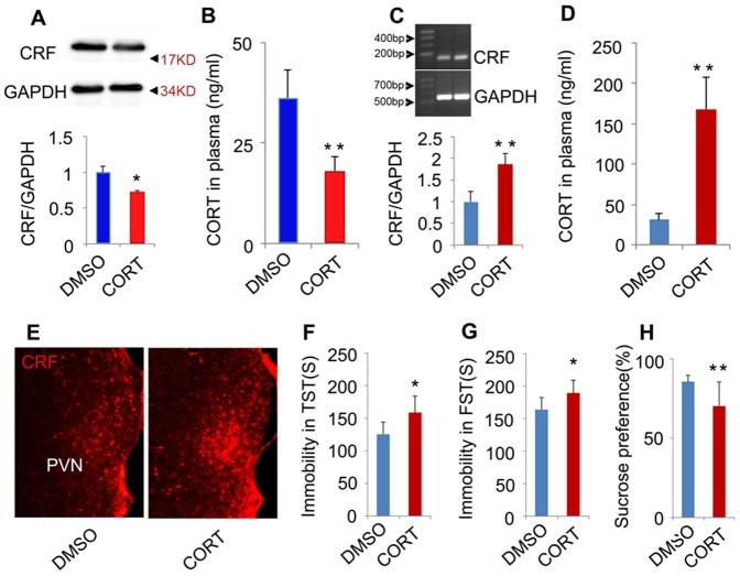 https://cdn.ncbi.nlm.nih.gov/pmc/blobs/7855/4022669/c7f3fc14b056/pone.0097689.g005.jpg
