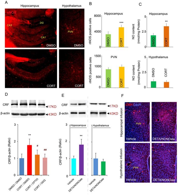https://cdn.ncbi.nlm.nih.gov/pmc/blobs/7855/4022669/ccdedca98051/pone.0097689.g007.jpg