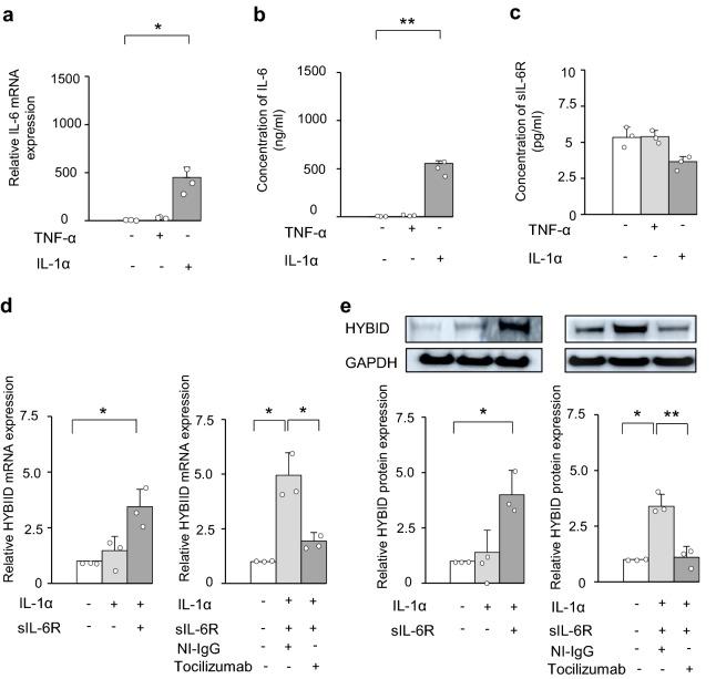 https://cdn.ncbi.nlm.nih.gov/pmc/blobs/7858/9568606/d482809ff89a/41598_2022_22230_Fig5_HTML.jpg