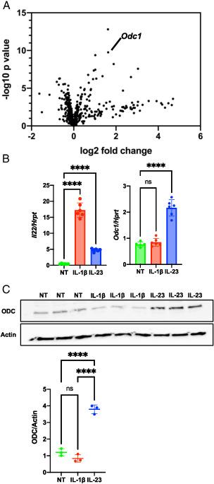 https://cdn.ncbi.nlm.nih.gov/pmc/blobs/7859/10563397/79bf2fba328f/ih2200097f1.jpg