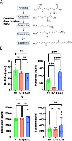 https://cdn.ncbi.nlm.nih.gov/pmc/blobs/7859/10563397/fff38e0fa3e2/ih2200097f2.jpg