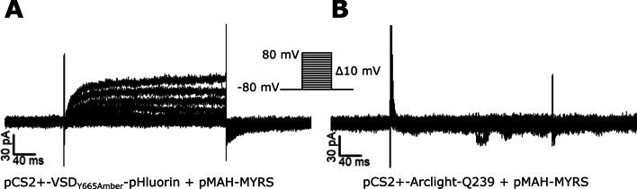 https://cdn.ncbi.nlm.nih.gov/pmc/blobs/785a/10651576/2eb0c1413c19/10867_2023_9645_Fig3_HTML.jpg