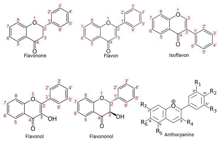 https://cdn.ncbi.nlm.nih.gov/pmc/blobs/785c/10935205/f0d98bdeba6e/molecules-29-01000-g001.jpg