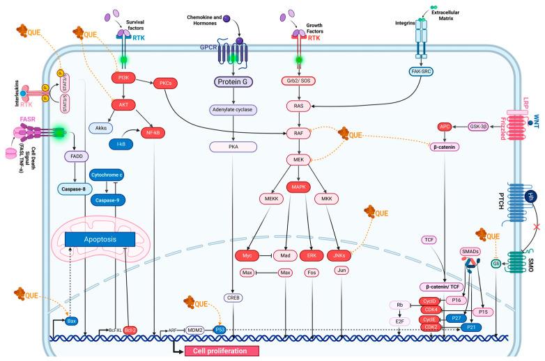 https://cdn.ncbi.nlm.nih.gov/pmc/blobs/785c/10935205/fa19ff12729b/molecules-29-01000-g004.jpg