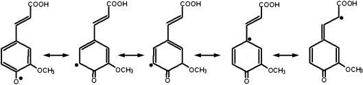 https://cdn.ncbi.nlm.nih.gov/pmc/blobs/785c/2127228/7080f06ab8b2/jcbn2007013f02.jpg