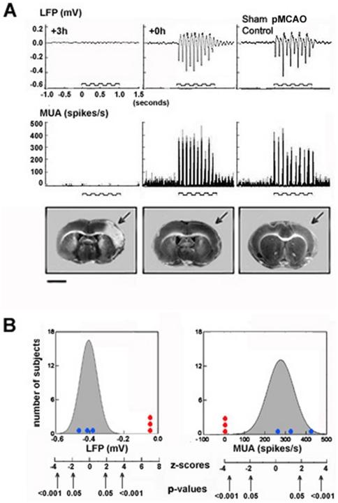 https://cdn.ncbi.nlm.nih.gov/pmc/blobs/785c/2890583/ad145de5d290/pone.0011270.g005.jpg