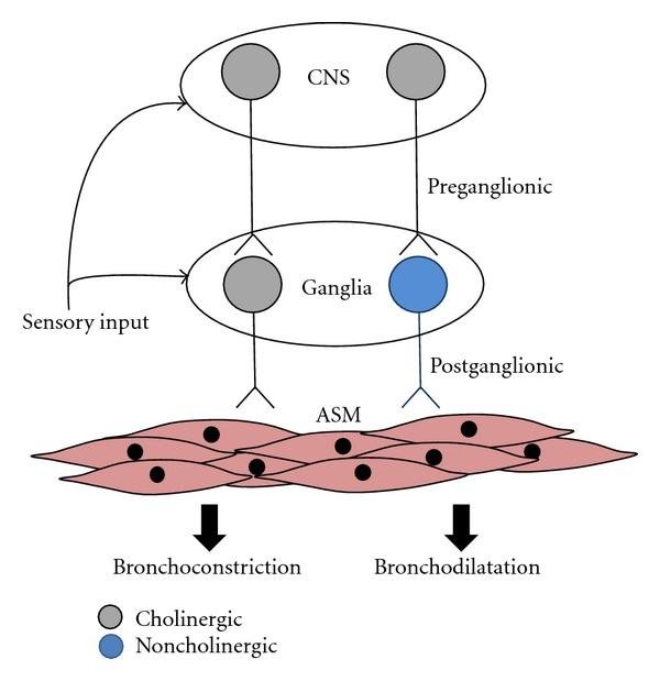 https://cdn.ncbi.nlm.nih.gov/pmc/blobs/785e/3485909/b64db4bbef1b/JA2012-108149.001.jpg