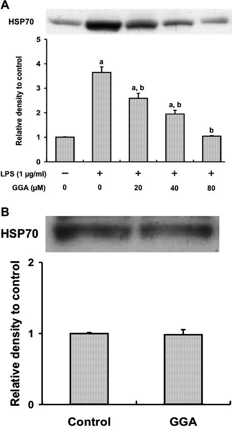 https://cdn.ncbi.nlm.nih.gov/pmc/blobs/7865/2170953/c955c958e079/jcbn2007047f05.jpg