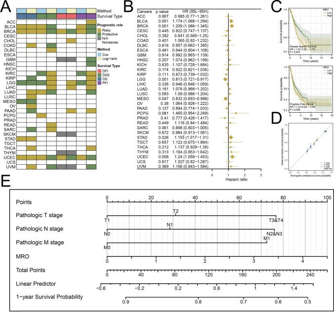 https://cdn.ncbi.nlm.nih.gov/pmc/blobs/7866/11751261/68ebf51d5c02/12672_2025_1817_Fig3_HTML.jpg
