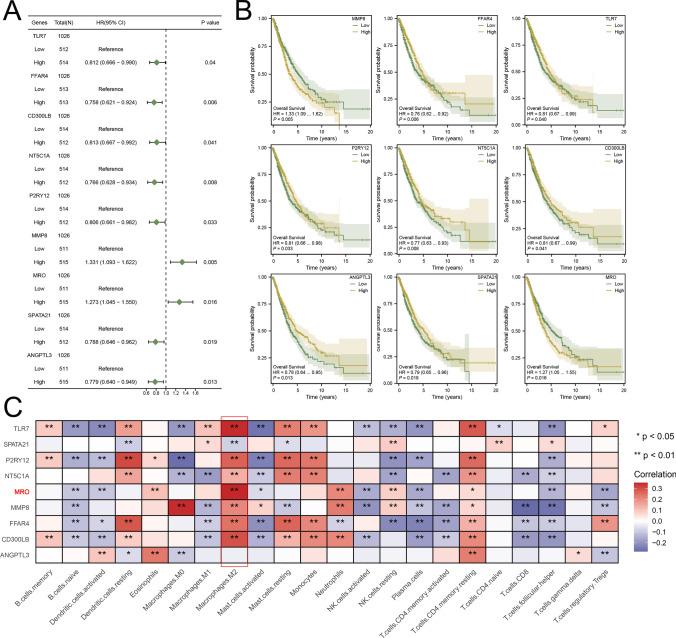 https://cdn.ncbi.nlm.nih.gov/pmc/blobs/7866/11751261/72b817d23a54/12672_2025_1817_Fig2_HTML.jpg
