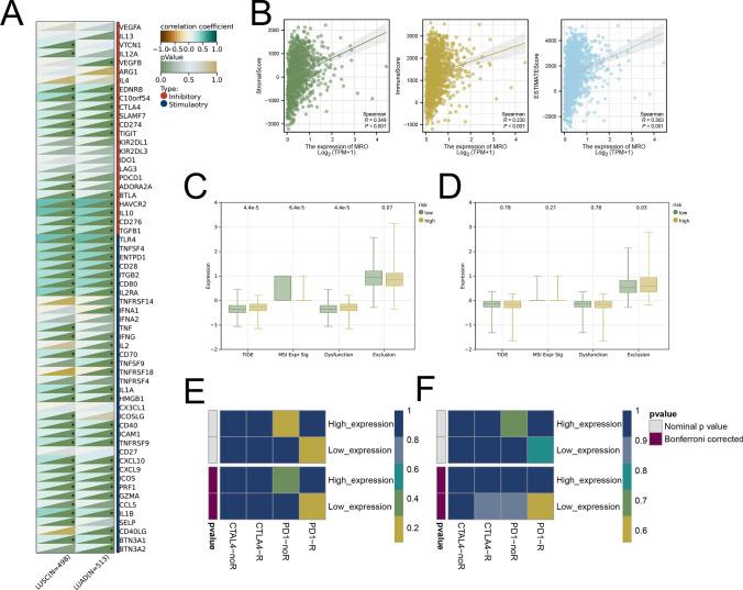 https://cdn.ncbi.nlm.nih.gov/pmc/blobs/7866/11751261/749ebe5afe0b/12672_2025_1817_Fig7_HTML.jpg