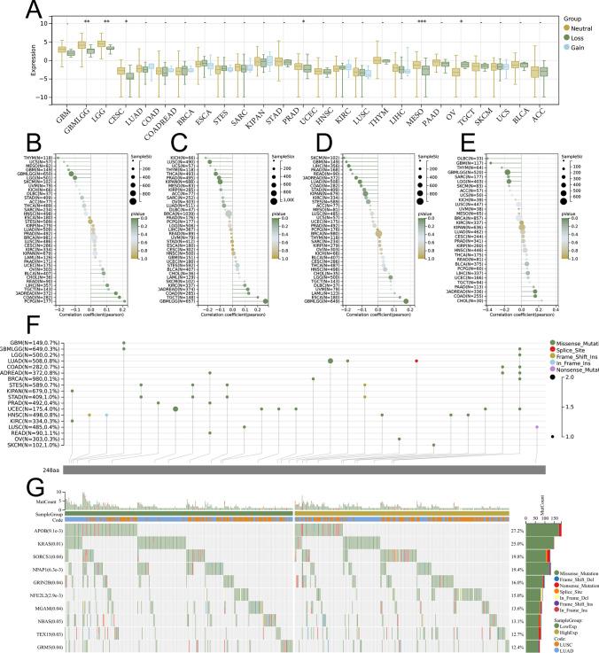 https://cdn.ncbi.nlm.nih.gov/pmc/blobs/7866/11751261/87c82b9a61c2/12672_2025_1817_Fig6_HTML.jpg