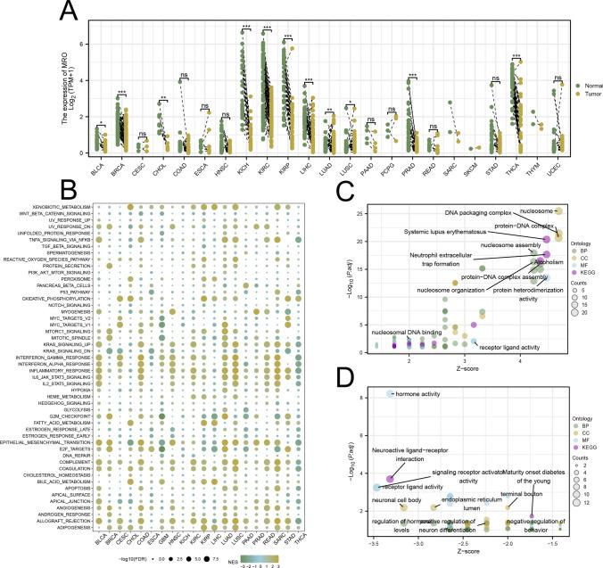 https://cdn.ncbi.nlm.nih.gov/pmc/blobs/7866/11751261/c9f94c4e4e10/12672_2025_1817_Fig5_HTML.jpg