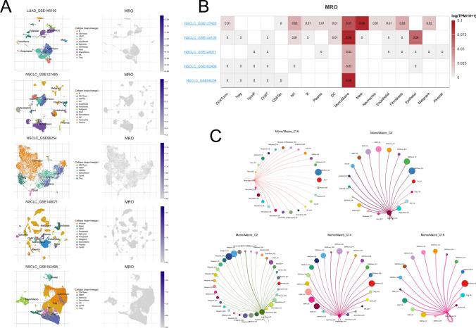 https://cdn.ncbi.nlm.nih.gov/pmc/blobs/7866/11751261/e9c8b770c2ef/12672_2025_1817_Fig4_HTML.jpg