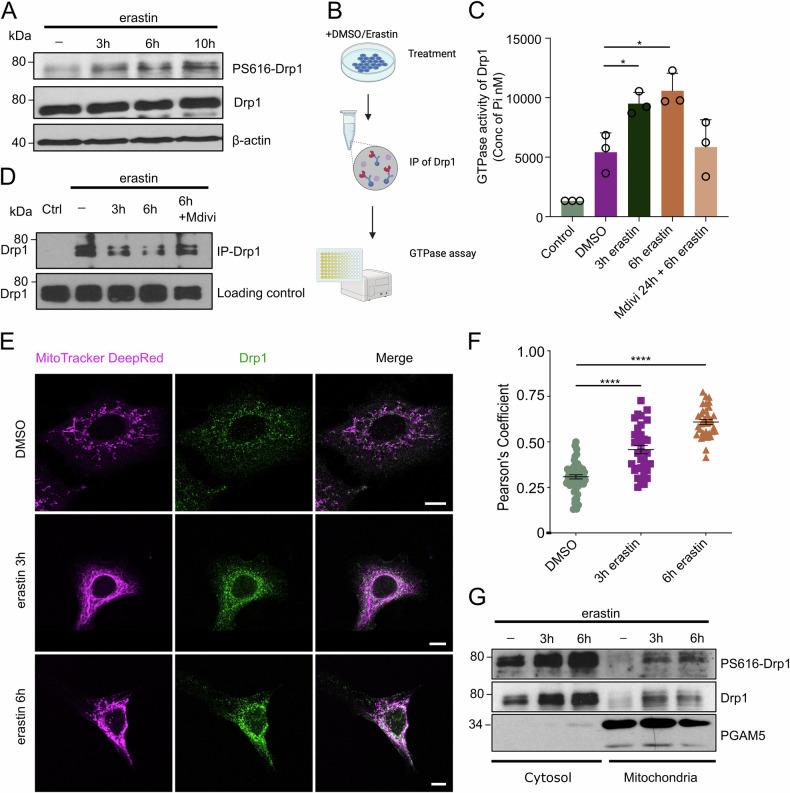 https://cdn.ncbi.nlm.nih.gov/pmc/blobs/7867/11762985/1e47c4127695/41419_2024_7312_Fig3_HTML.jpg