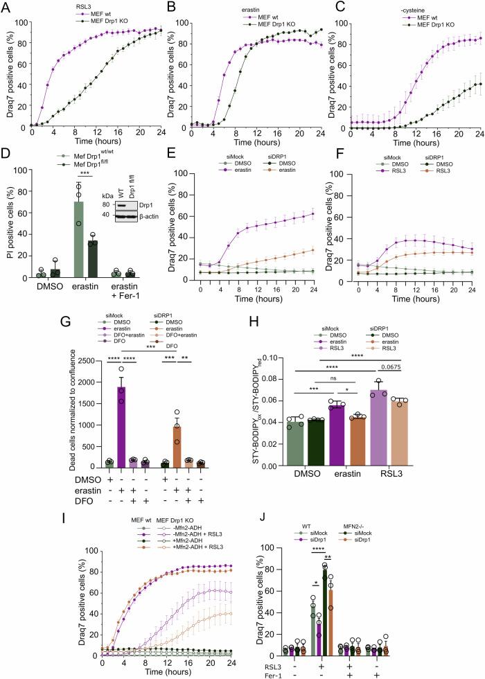 https://cdn.ncbi.nlm.nih.gov/pmc/blobs/7867/11762985/d734dd307551/41419_2024_7312_Fig2_HTML.jpg