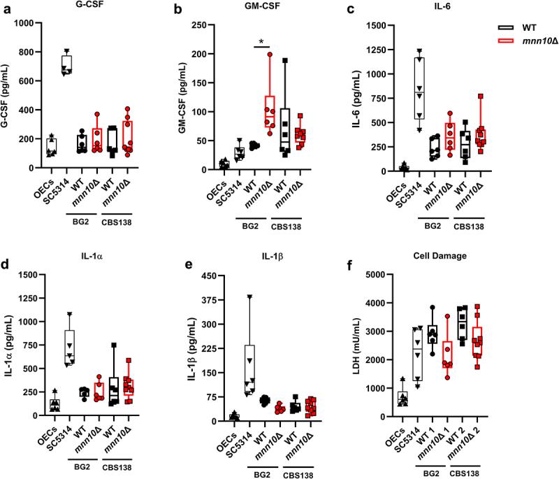 https://cdn.ncbi.nlm.nih.gov/pmc/blobs/7868/12001547/cd1749a1c9a6/KVIR_A_2491650_F0004_OC.jpg