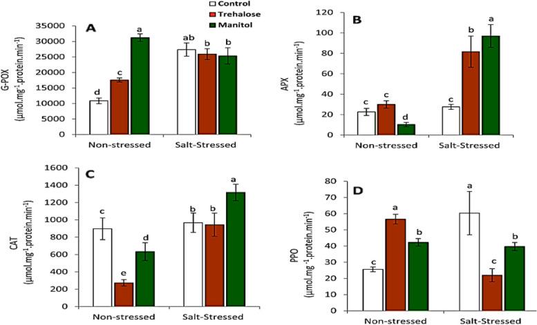 https://cdn.ncbi.nlm.nih.gov/pmc/blobs/7869/11138042/7f0025f230ae/12870_2024_4964_Fig4_HTML.jpg