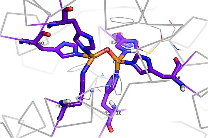 https://cdn.ncbi.nlm.nih.gov/pmc/blobs/7869/11138042/fd363104fe0c/12870_2024_4964_Fig6_HTML.jpg