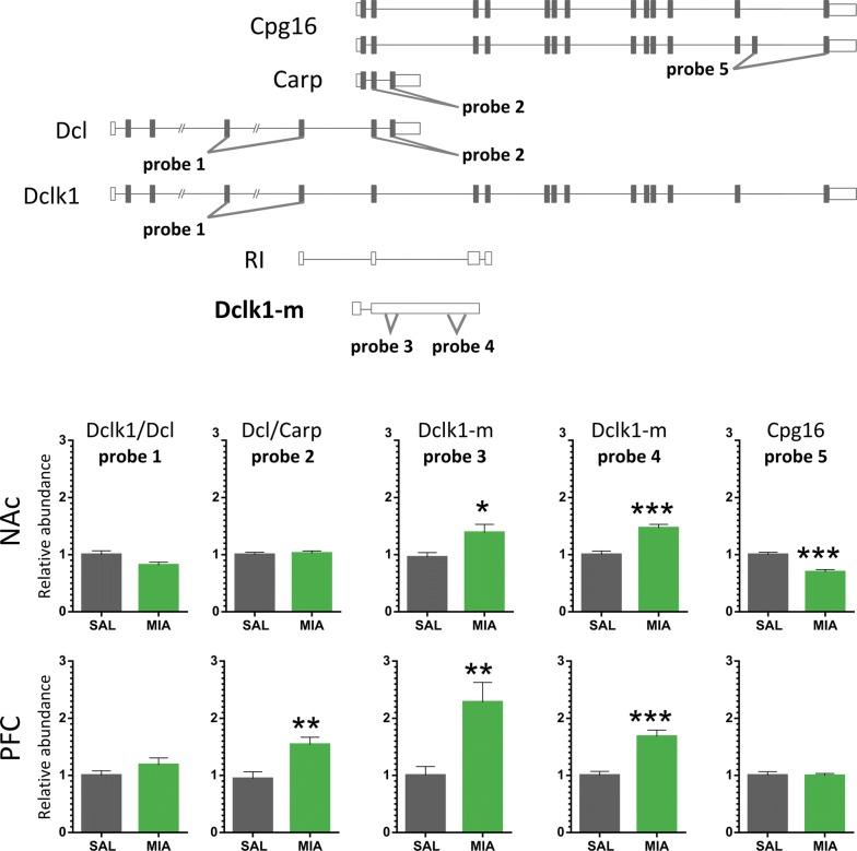 https://cdn.ncbi.nlm.nih.gov/pmc/blobs/7869/6134793/4053c6c4c4b2/12868_2018_458_Fig6_HTML.jpg